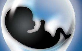 试管婴儿谁承担的责任（试管婴儿的具体步骤受罪吗）