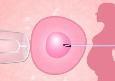 试管婴儿胚胎移植成功率高吗？试管新鲜胚胎移植成功率高吗？