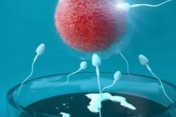 做试管婴儿为什么我的卵泡越促越少？卵泡数目越来越少的原因有哪些？如何提高促排卵后卵泡数量？