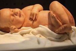 解析试管长方案和短方案的区别！多囊卵巢适合什么促排方案