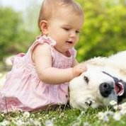 贵阳做试管婴儿的私立医院排行前十有哪些？费用要多少？