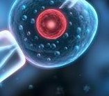 长春哪家医院试管婴儿鲜胚移植技术好？