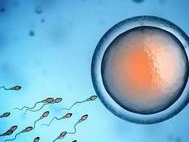 这家医院“霸王条款”霸气何来？