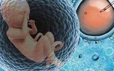 上海交通大学医学院附属瑞金医院洗精费用多少钱？试管婴儿移植成功后检查流程有哪些？