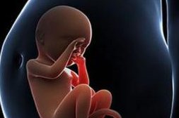 曲靖市妇幼保健院做三代试管成功率如何？一文读懂需要花多少钱