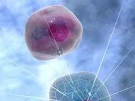 广州试管婴儿哪个医院成功率较高？附生殖机构排名？