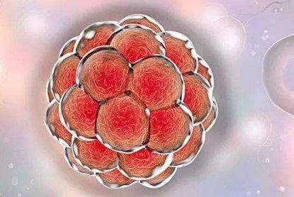 泰国试管婴儿医院排行榜：专业品质值得信赖！