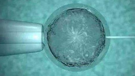 四川省妇幼保健院做三代试管成功率如何？一文读懂需要花多少钱