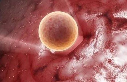 苏州不孕不育官网圣爱医生（苏州不孕不育官网圣爱医生电话）